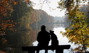 You see a man and a dog as a silhouette in front of an autumn landscape.