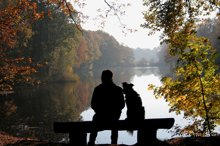 You see a man and a dog as a silhouette in front of an autumn landscape.