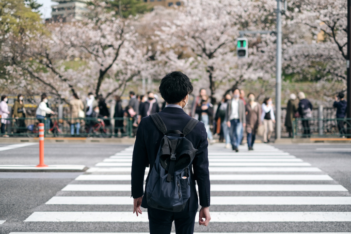 Man looking across a crosswalk at a park filled with people and with cherry trees in full bloom.