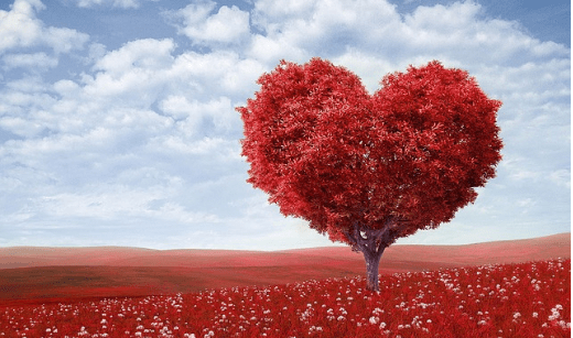11 Love Quotes Straight from the Heart