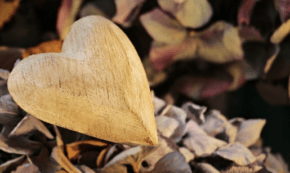 25 Things to Be Thankful for in a Changing World