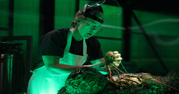 anatomy lesson, swamp thing, tv show, horror, drama, review, dc universe, warner bros television