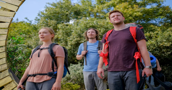 midsommar, horror, ari aster, blu-ray, review, a 24, lionsgate