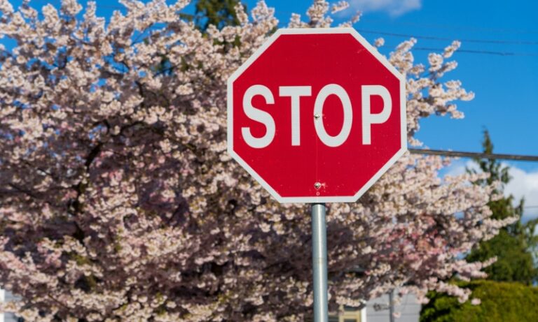 How To Politely Reject Someone You re Not Interested In The Good Men Project