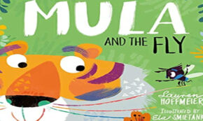 mula and the fly, children's fiction, Lauren Hoffmeier, net galley, review, sweet cherry publishing