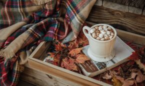 Hot chocolate with marshmallows in a white cup on a fall day