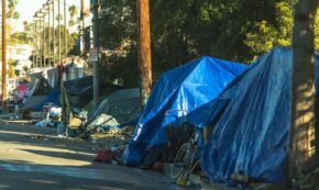 Photo show a camp of unhoused people in West Hollywood, California. The camp consists of tents and make-shift shelters made from blue tarps are set up along the roadway. The sunshine and foliage of the region is in the background in sharp contrast to the cold reality of houselessness.