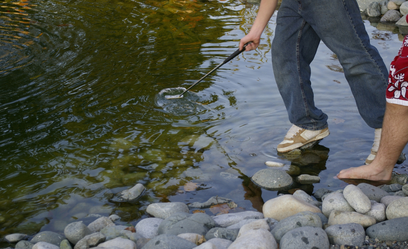 Here's What Fishing Golf Balls Out of Mud With My Feet Taught Me About  Entrepreneurship - The Good Men Project