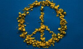 Image shows a peace sign made of yellow flower petals placed on an indigo background.