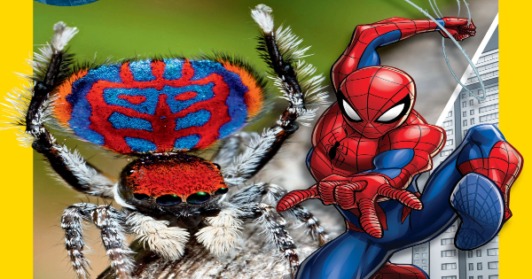 marvel's spider-man bugs out, children's nonfiction, science fiction, daka hermon, net galley, review, national geographic kids, disney publishing worldwide