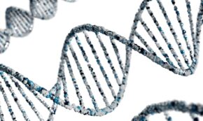 Close-up 3D illustration of a DNA double helix