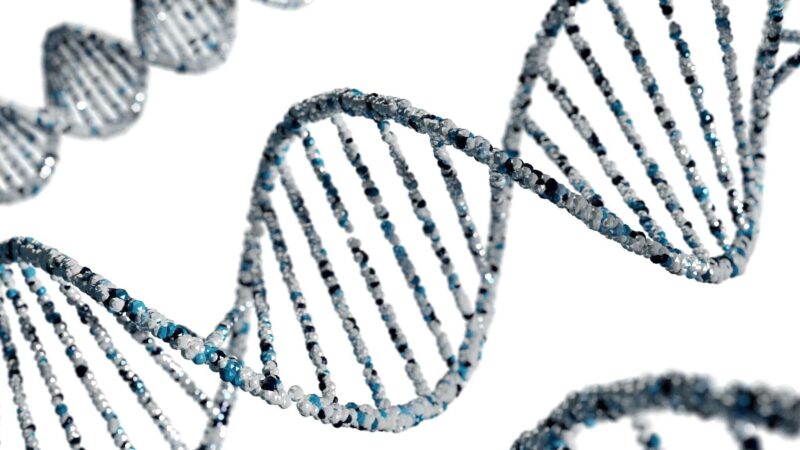 Close-up 3D illustration of a DNA double helix
