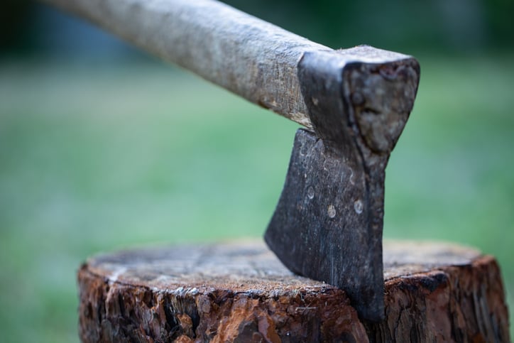 The Vital Art of Elimination
