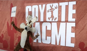 coyote vs acme movie graphic